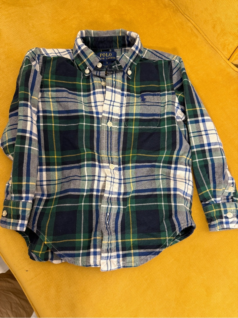 Polo by Ralph Lauren Navy, Green & White Plaid Button-Down Shirt